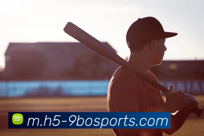 体育下注平台生态图