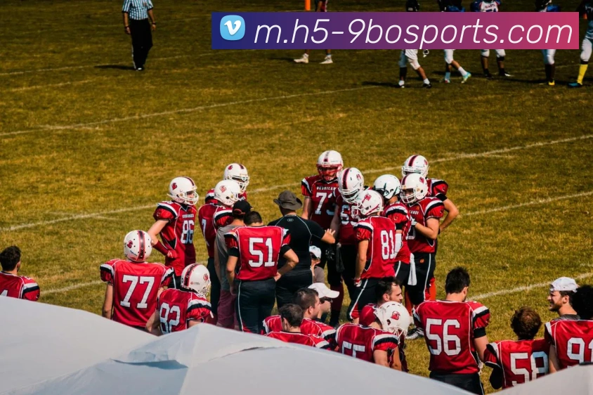 体育下注全站App